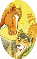 Wolfo, chien, cheval, loup, lecture, bande dessinée, Rhône, Valais, aventure en BD, nature
